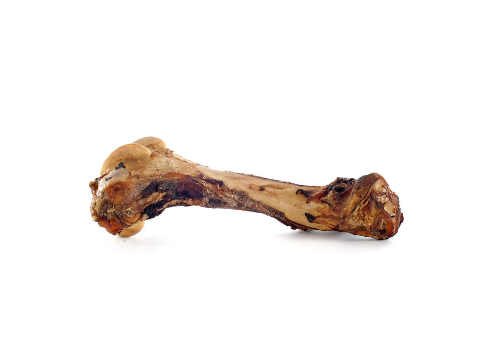 Bone Is For Dog Meat Is For Man Song